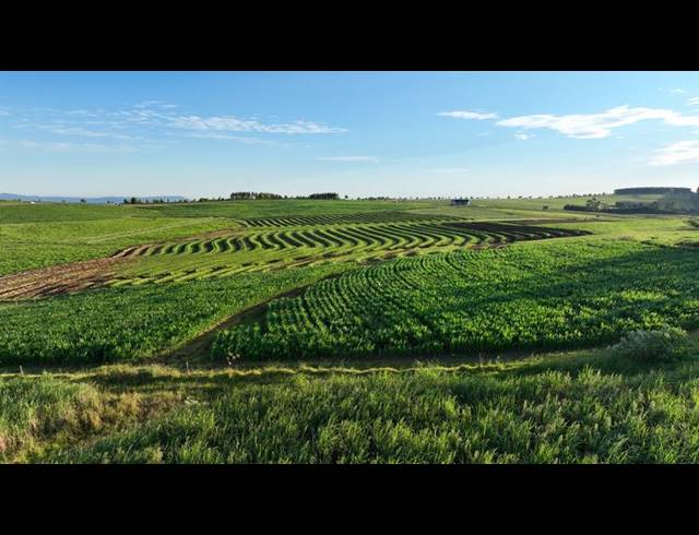 FARM FOR SALE IN MOUNT VERDE